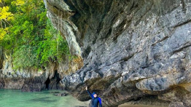 Langkawi Mangrove Tour Package