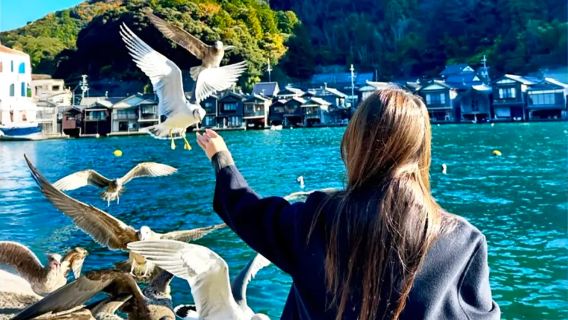 日本京都天橋立+伊根舟屋一日遊|可異地上下車|海之京都一日遊