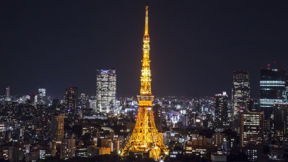 京成スカイライナー特急列車往復チケット＋東京メトロTokyo Subway Ticket＋東京タワー展望台入場チケットお得なセット券