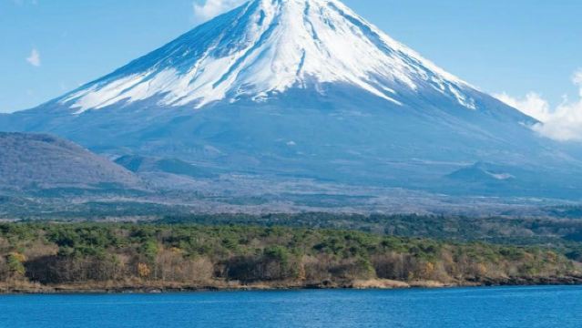 Monte Fuji e Santuario Arakura Sengen: Tour Giornaliero Guidato da Tokyo con Pranzo