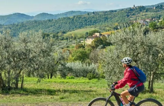 基安蒂：電動單車導賞團 + 午餐 + 品酒體驗