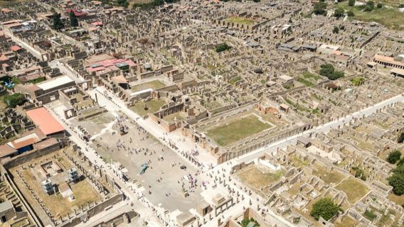 Pompei e Vesuvio: biglietto salta fila + visita guidata + trasferimenti
