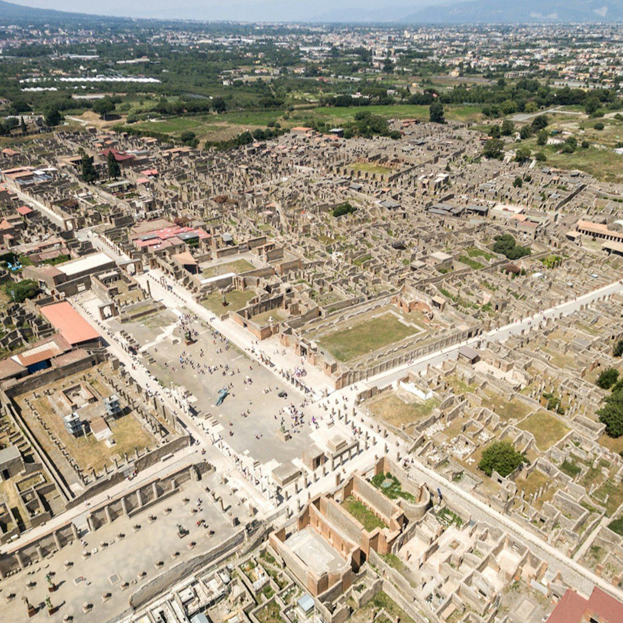 Pompeii & Mount Vesuvius: Skip The Line Ticket + Guided Tour + Transfers