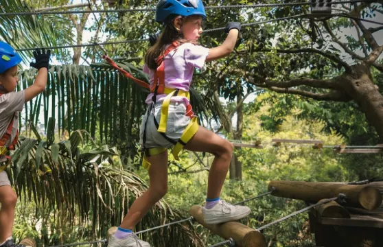 TreeTops Central Coast：初級繩索課程