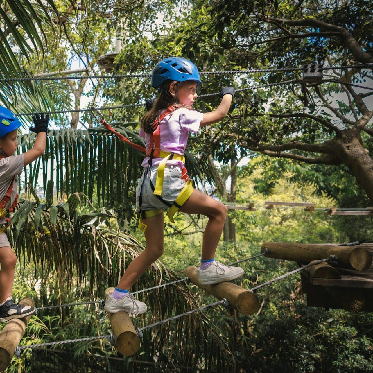 Treetops Adventure Central Coast: Junior Ropes Course