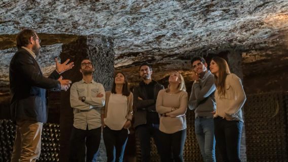 Freixenet: Visita guiada a la bodega con cata y aperitivo