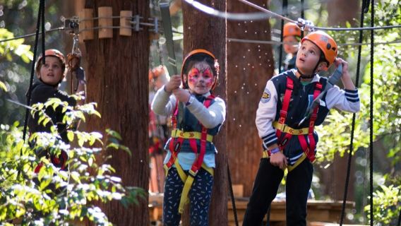 Treetops Adventure Belgrave: Entry Ticket