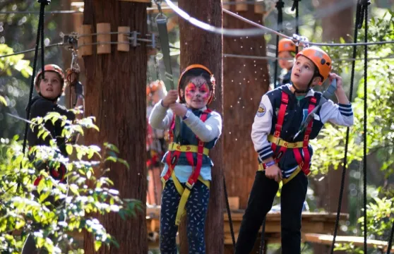 樹頂探險貝爾格雷夫：小童入場門票