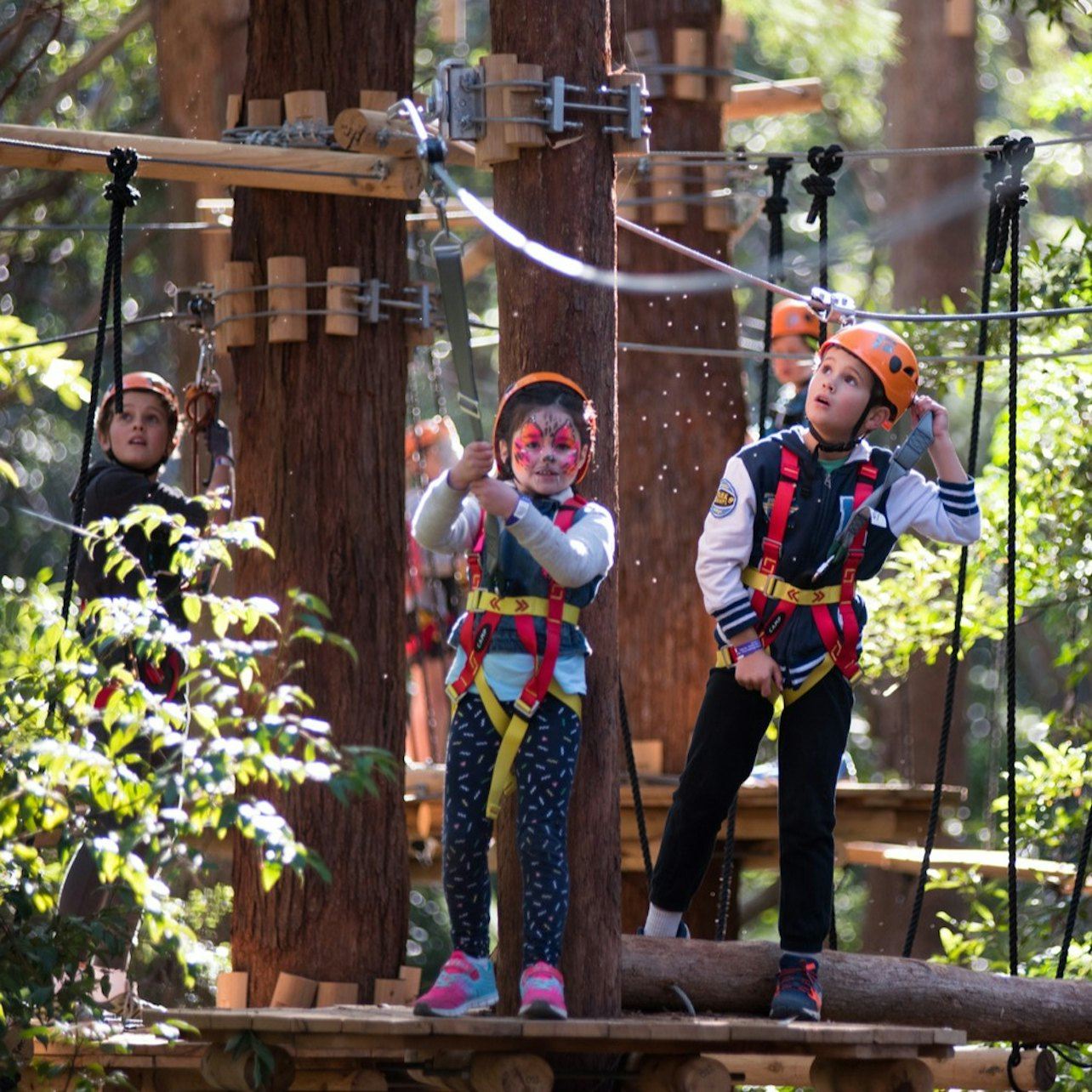 Treetops Adventure Belgrave: Junior Entry Ticket