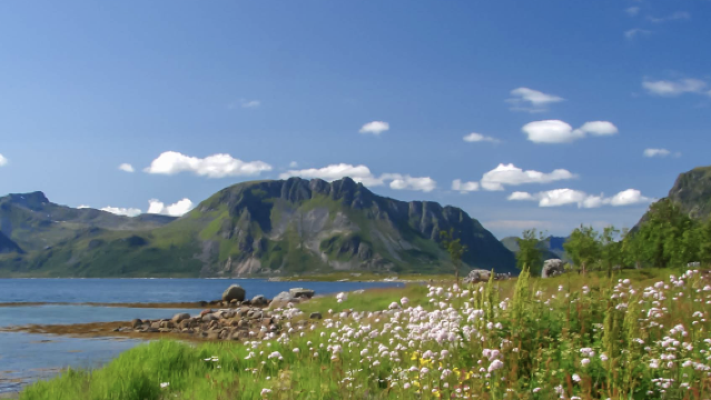 挪威斯沃爾韋爾-亨寧斯韋爾漁村一日遊【專車出行-愜意舒適】