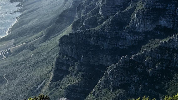【南非開普敦經典一日遊】博卡普+桌山+好望角