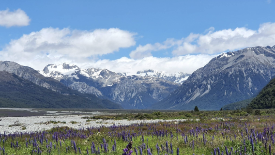 紐西蘭基督城-阿瑟山口&奧蒂拉-可定制【中文專車-愜意舒適】