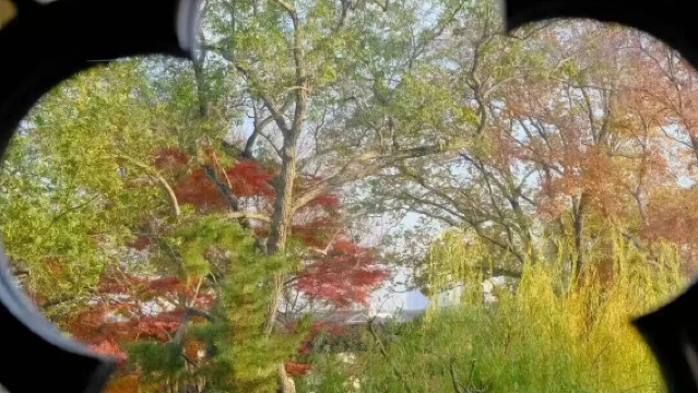 蘇州拙政園人員導覽