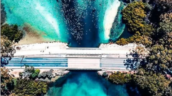 【專車12小時】雪梨傑維斯灣白沙灘+追海豚+邂逅袋鼠一日遊