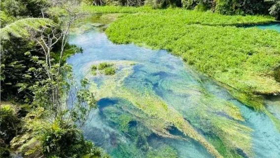 奧克蘭包車一日遊：藍泉+地熱公園+胡卡瀑布+陶波湖【不含票】