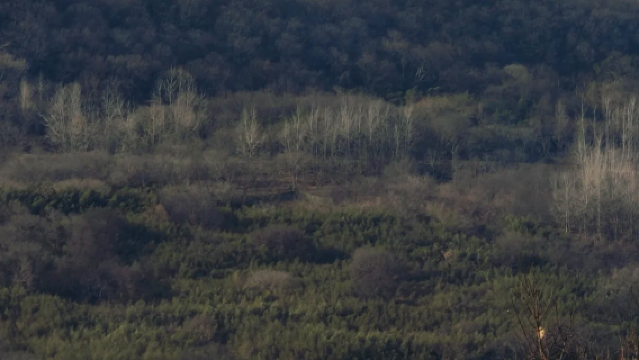 鐵山寺國家森林公園清晨一日遊