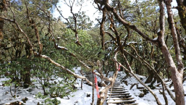 Tur Harian Pribadi Gunung Salju Kunming Sedan Chair: Mengungkap Bisikan Vulkanik dalam Embun Beku