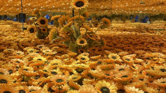 Entrada al Museo de Arte Van Gogh Starlight en Harbin (Clásicos de Van Gogh potenciados por la tecnología + banquete inmersivo de luces 4D + laberinto de espejos + paseo por un mar de girasoles)