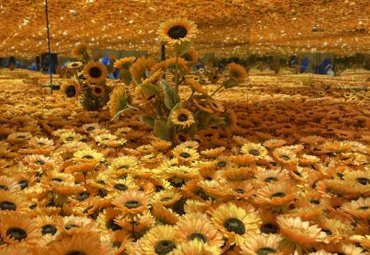 Harbin Van Gogh Starry Night Art Museum Admission Ticket (Technology-Enhanced Van Gogh Classics + Immersive 4D Light Show + Mirror Maze + Sunflower...