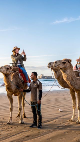 Sydney: Hunter Valley Wine Tasting & Lunch with Port Stephens 4WD Sandboarding & Camel Ride Full Guided Day Tour 