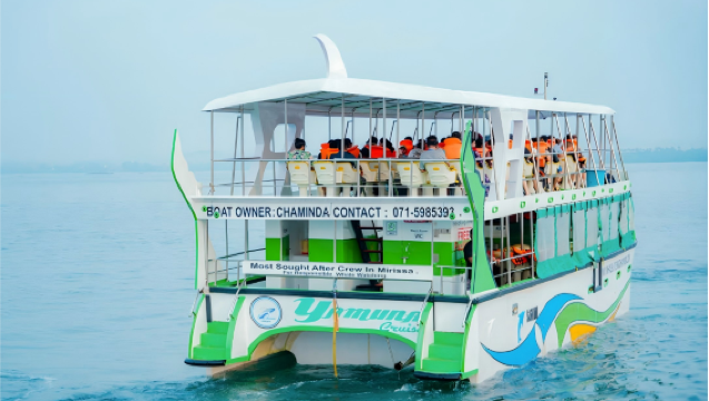 Observation des baleines à Mirissa (Croisière de luxe) + [Transfert inclus]