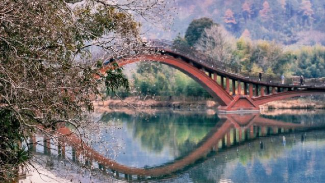 龍川風景區+徽杭古道+千年仁裡包車遊【宣城出發】