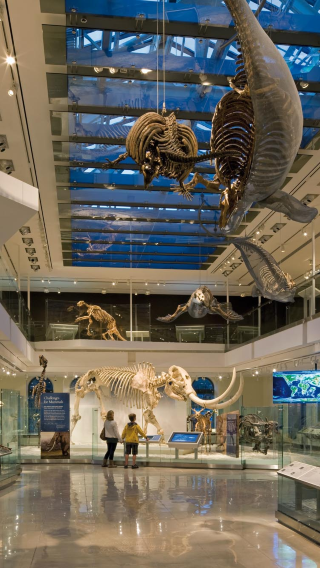 Natural history museum + Crypto.com arena + The Huntington Library, Art Museum, and Botanical Gardens 1-day tour with admission ticket at your own expense