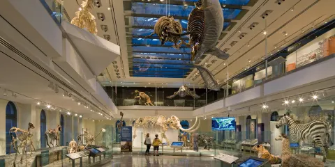 自然歷史博物館+加密貨幣網體育館+漢庭頓圖書館一日遊門票自理