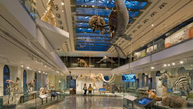 Naturhistorisches Museum + Kryptowährungs-Net-Arena + The Huntington Tagesausflug (Ticket nicht inbegriffen)