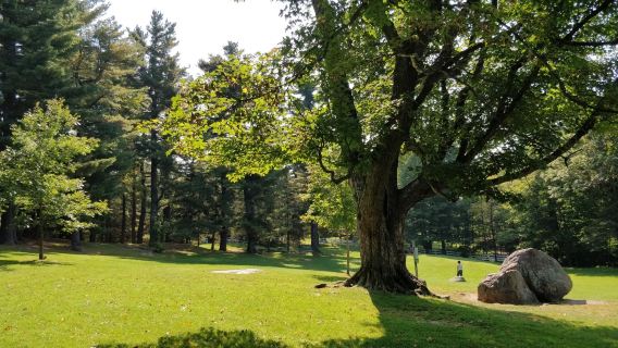 Kanada: Ottawa + Muzium Alam + Hutan Simpan | Itinerari Fleksibel M