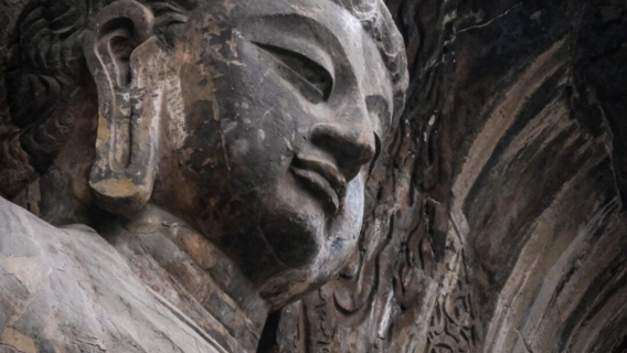 Tour privado de un día a las Grutas de Longmen, el Templo Shaolin y la Academia Songyang