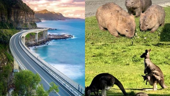 [Sydney South Line Mercedes No Tipping] Wollongong Special Offer: Kiama Blowhole, Kangaroo Valley, Gelling Hill