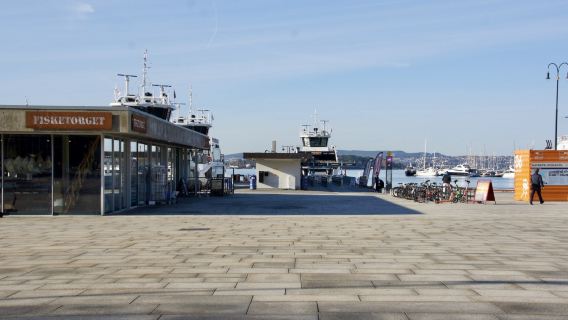 Visite de l'Oslofjord 100 % électrique