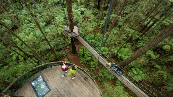 New Zealand Auckland berlepas: Kampung Budaya Maori + Hutan Simpan Redwood lawatan sewa peribadi [Tidak Termasuk tiket masuk]