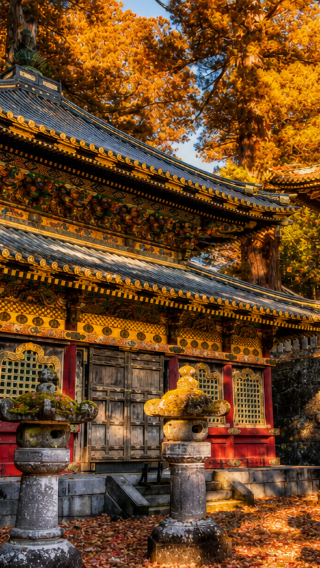 9-person small group · Nikko Toshogu Shrine fall 1-day tour · Kegon Waterfalls · Lake Chūzenji · Irohazaka