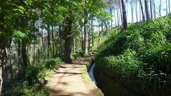Madeira Serra d'Água: A Scenic Levada Walk