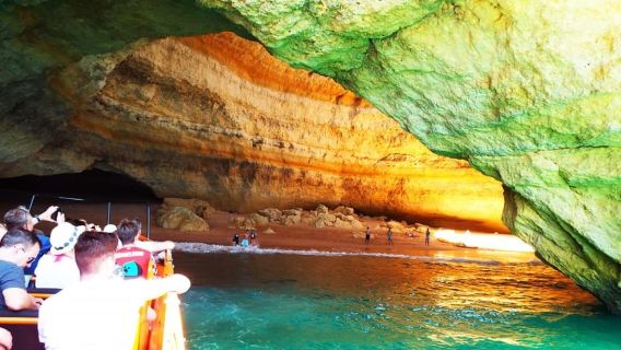 Safari & Boat Tour - Mountains & Dolphins