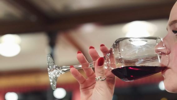 Budapest: Wine & Dine Cruise on the Danube