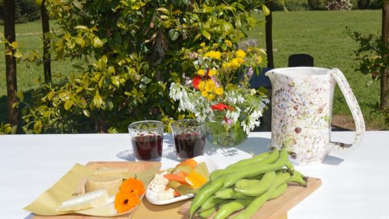 Grosseto: visit the family farm with a tasting of local food