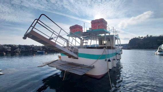 Procida: Sea View Boat Tour with Snorkeling