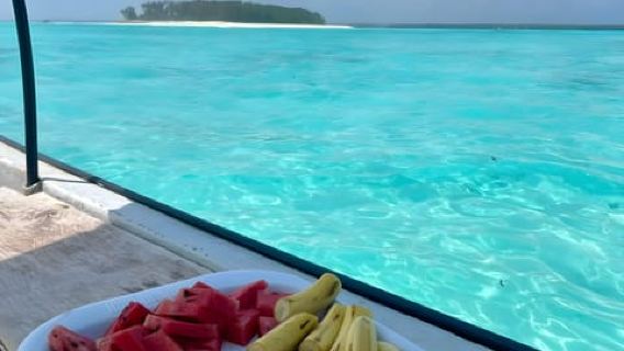 Zanzibar: Mnemba Dolphin Swim & Snorkeling Experience