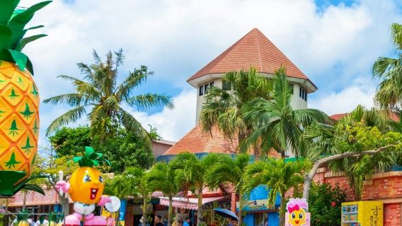 Nago Pineapple Park: Admission Ticket