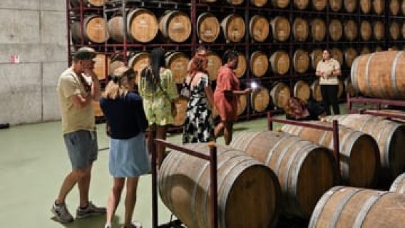 Porto: Half-Day Douro Tour with Winery Lunch & River Cruise