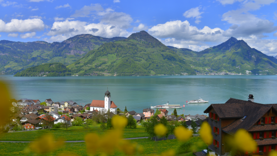 Rigi + Lake Lucerne Tour from Lucerne, Switzerland (cable car, cogwheel train, or boat tour)