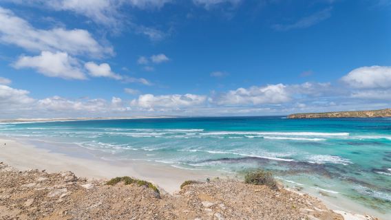 Half-Day Off-Road Exploration Tour in Coffin Bay National Park, South Australia