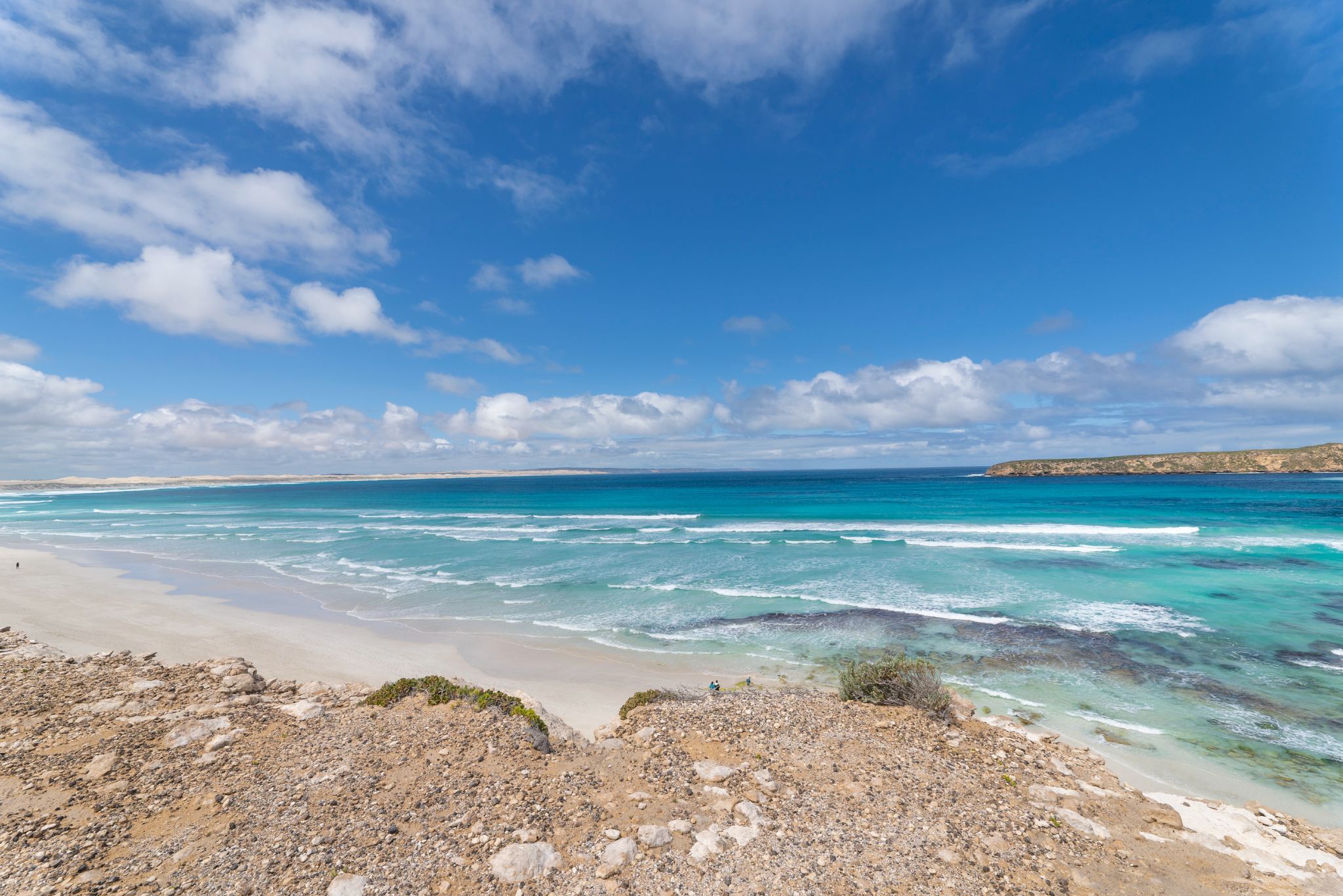 Coffin Bay National Park half-day 4WD adventure tour in Coffin Bay, South Australia
