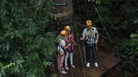 Chiang Mai Jungle Flight - Light of the Jungle | Ziplining [Extra-Long Zip Lines | Atomic Coaster | Speed Thrills | City Transfers]