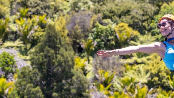 Cuộc phiêu lưu đu dây trong rừng đảo Waiheke Auckland, New Zealand 12705