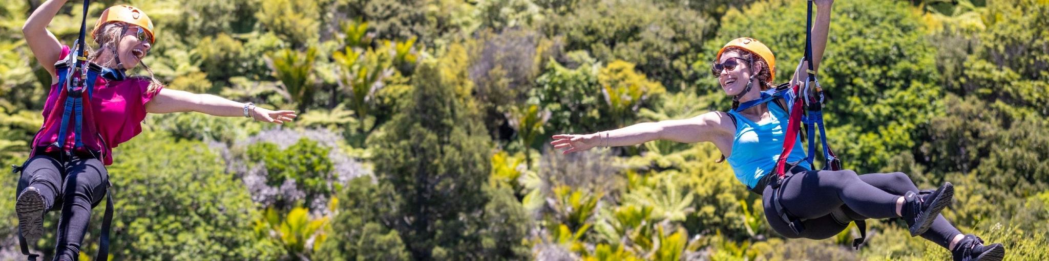 Waiheke Island Forest Zipline Adventure in Auckland, New Zealand 12705