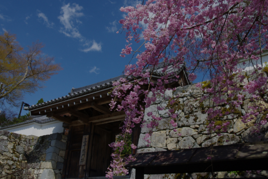 嵐山+三千院+嵐山嵯峨野觀光小火車+貴船神社一日遊